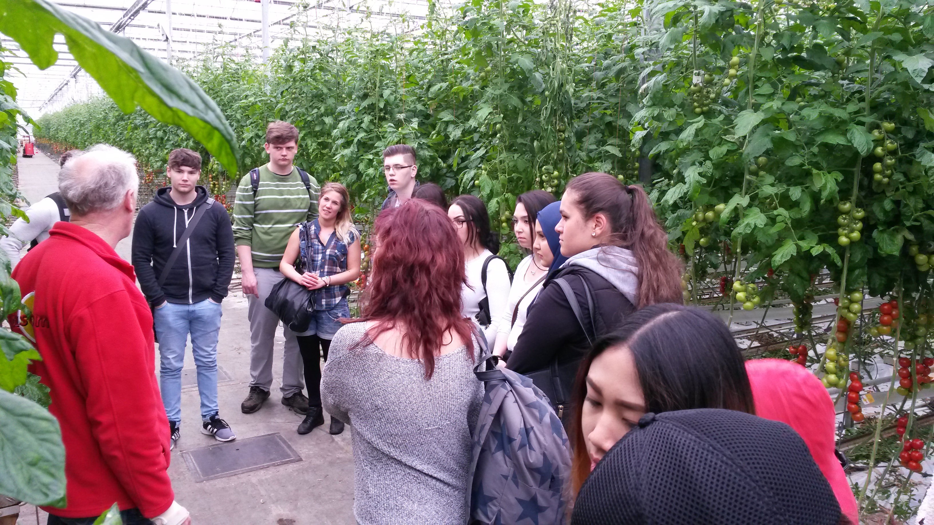 Servicekräfte besuchen die Tomatengärtnerei "TastyTom"